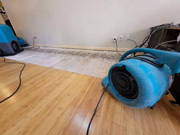 Professional Water Removal technician working in Litchfield Park, AZ
